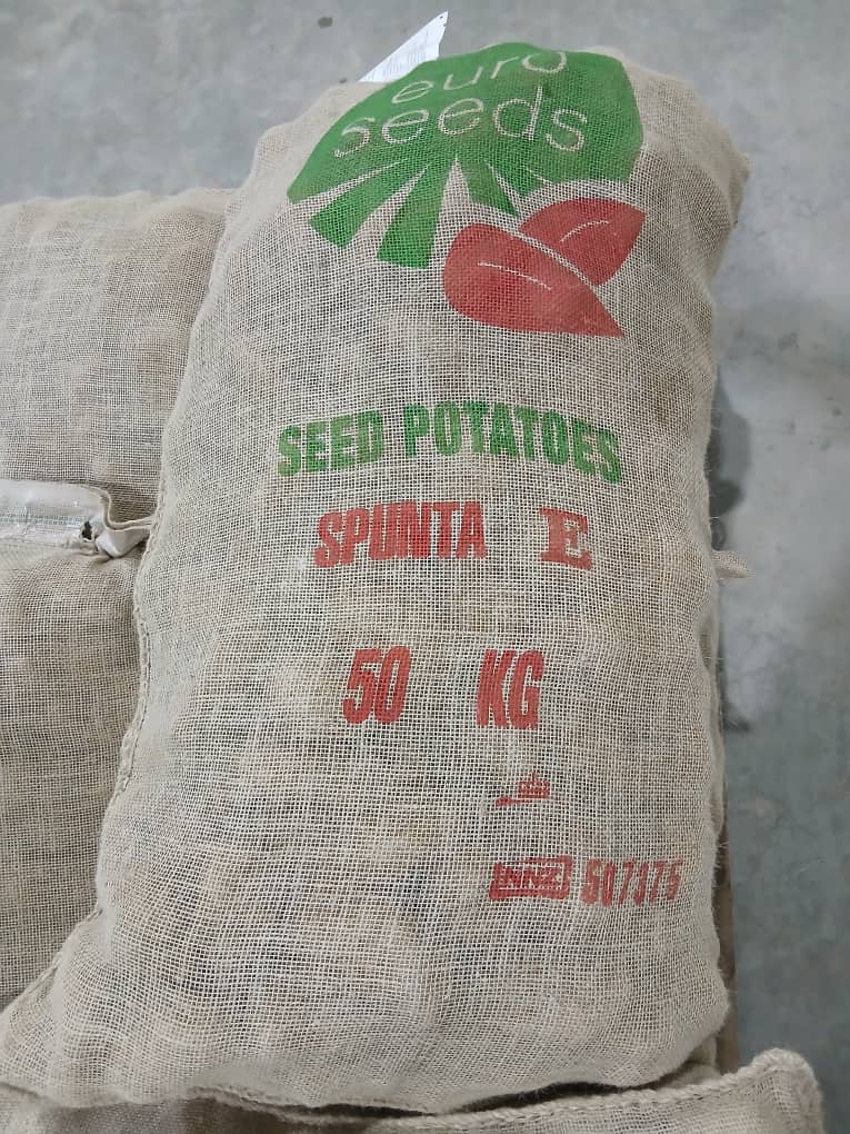 عبوة Euro Seeds SPUNTA